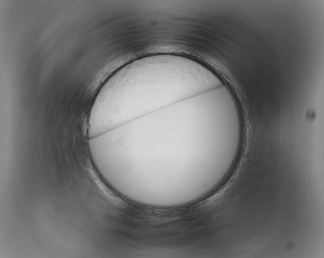 X0000111230841200907231502