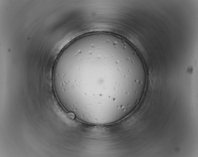 X0000111230842200907231502