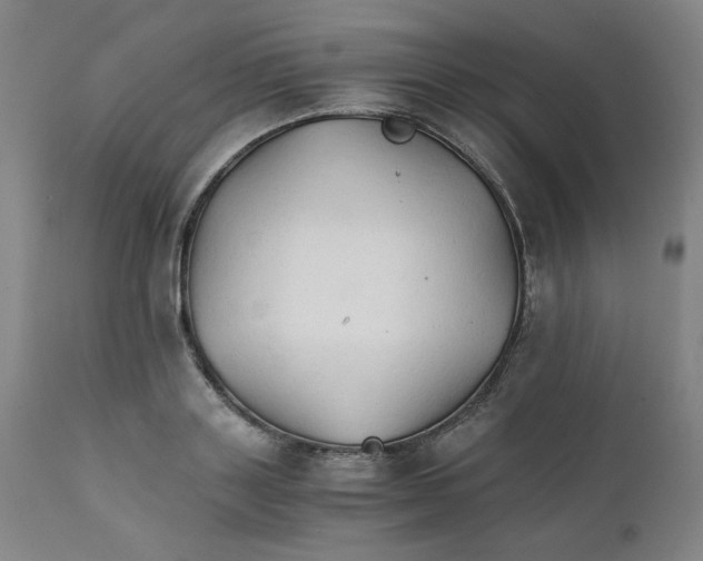 X0000111230843200907231502