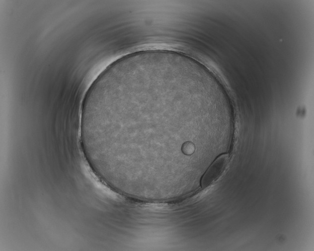 X0000111230844200907231502