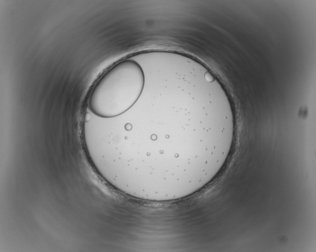 X0000111230846200907231502