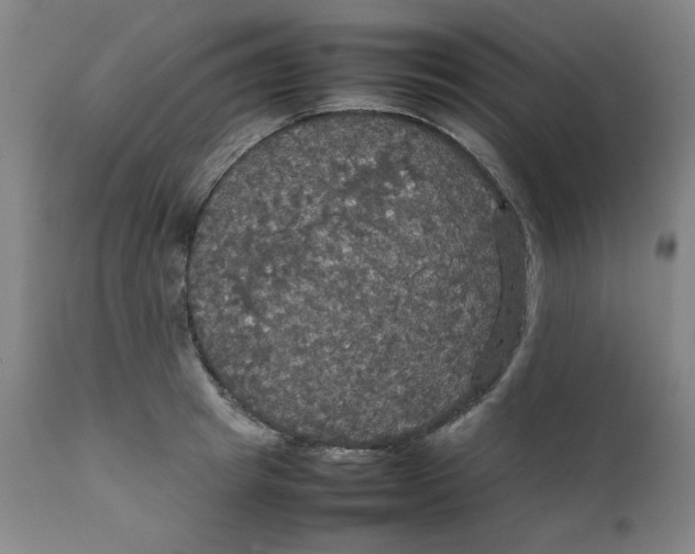 X0000111230849200907231502