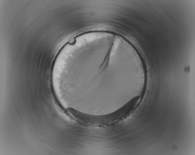 X0000111230850200907231502