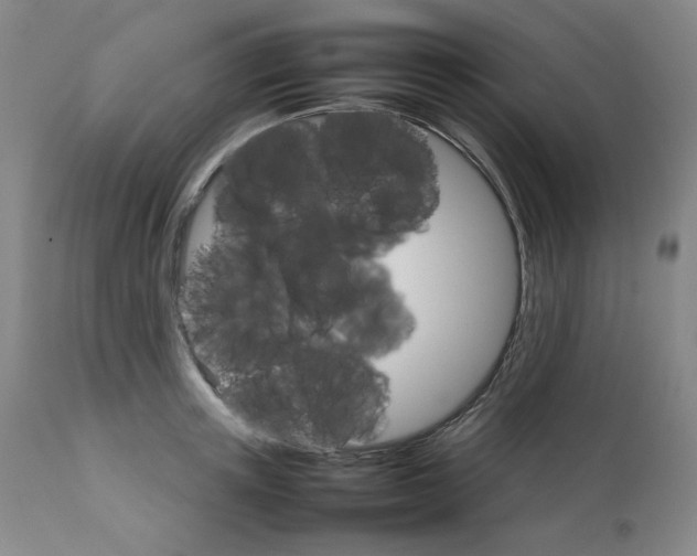 X0000111230851200907231502