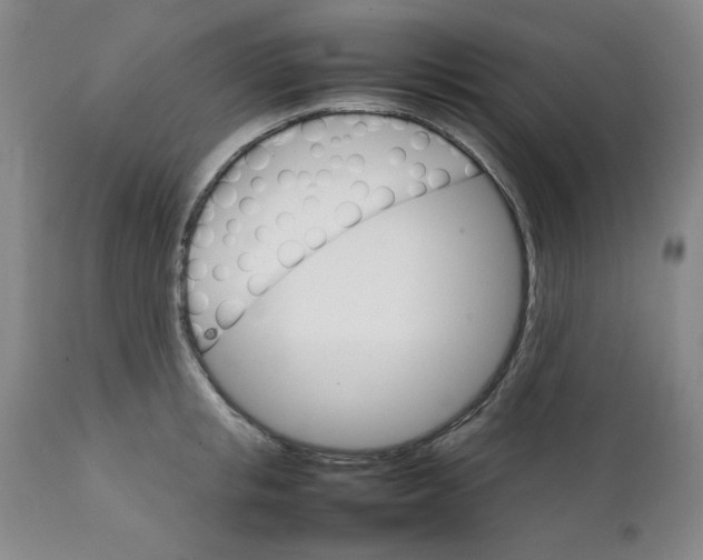 X0000111230853200907231502