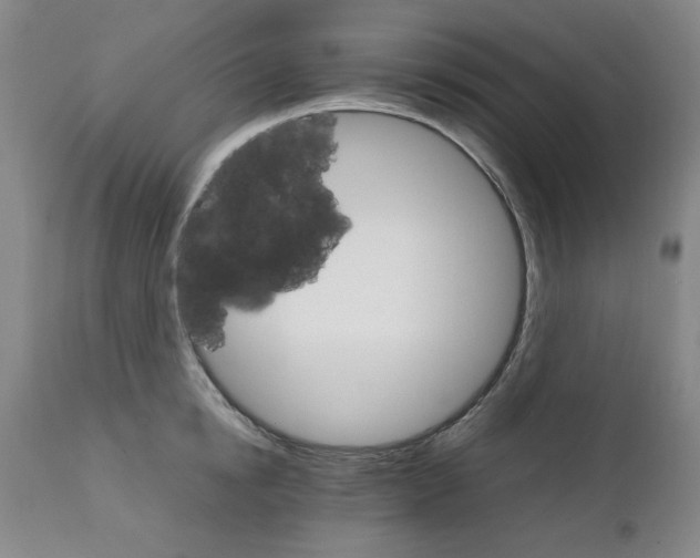 X0000111230854200907231502