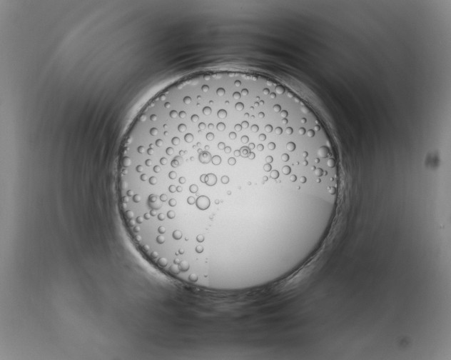 X0000111230855200907231502