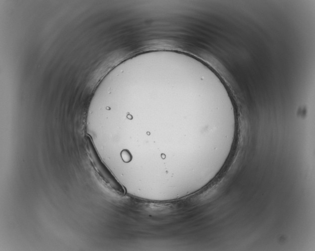 X0000111230857200907231502