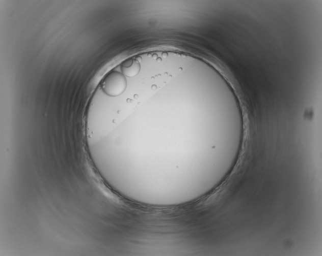 X0000111230858200907231502