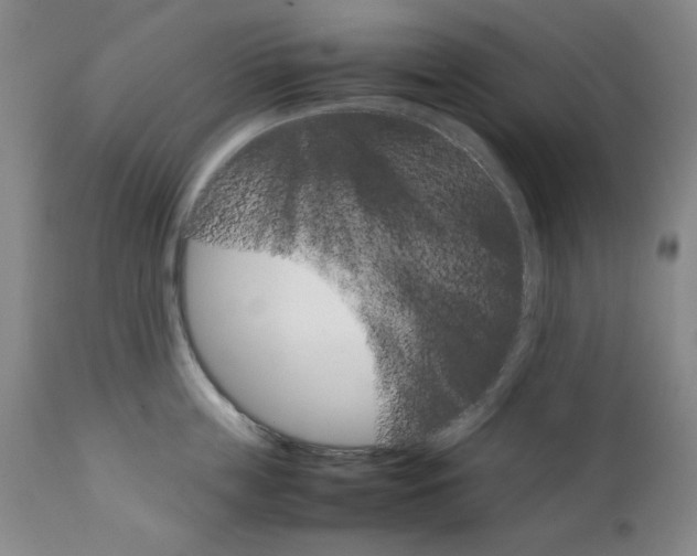 X0000111230859200907231502