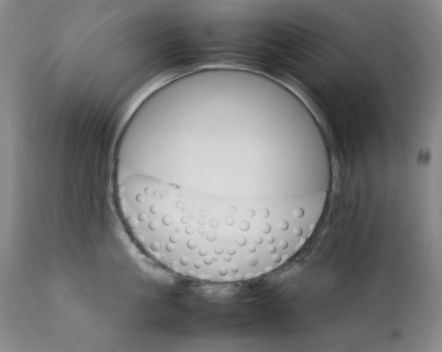 X0000111230861200907231503