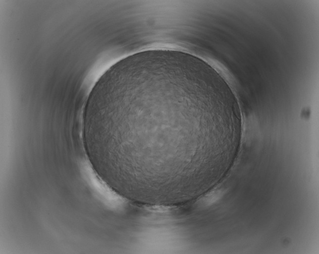 X0000111230862200907231503