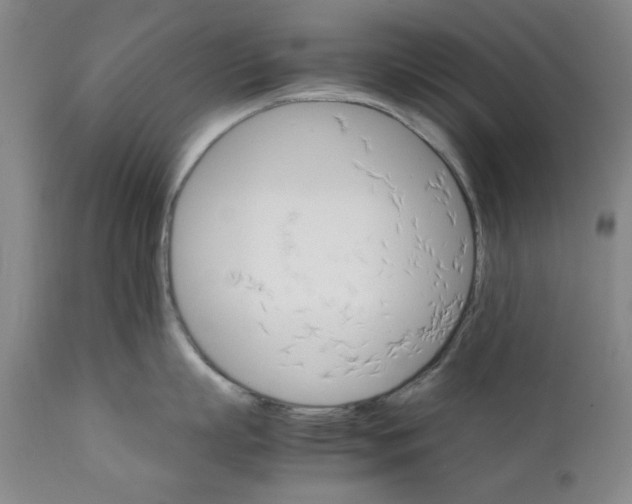 X0000111230863200907231503