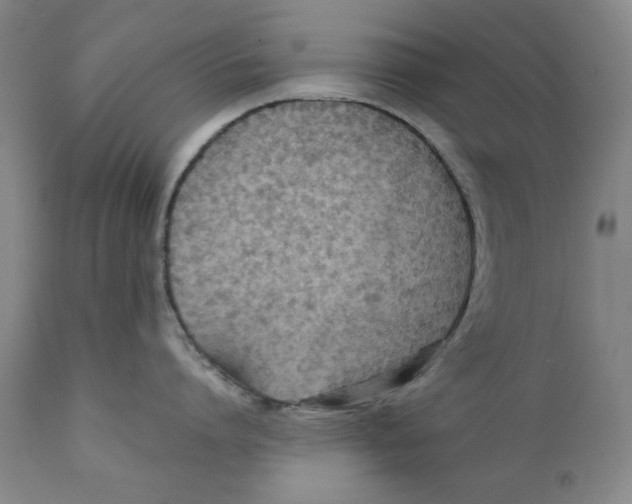 X0000111230864200907231503