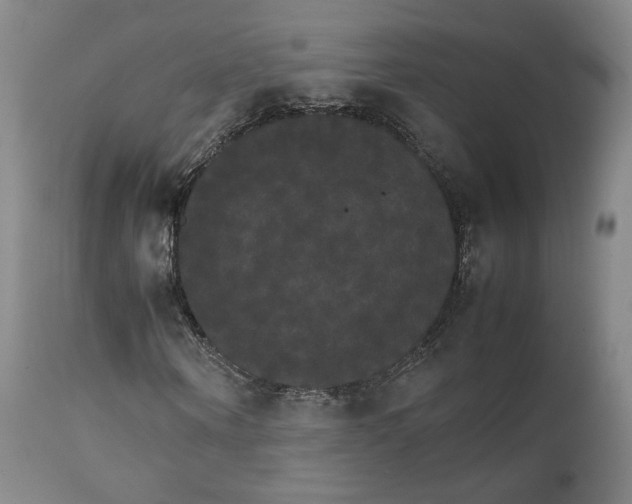 X0000111230866200907231502