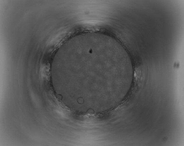 X0000111230867200907231502