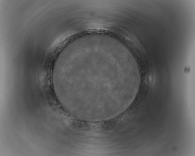 X0000111230870200907231502