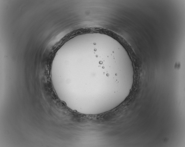 X0000111230871200907231502