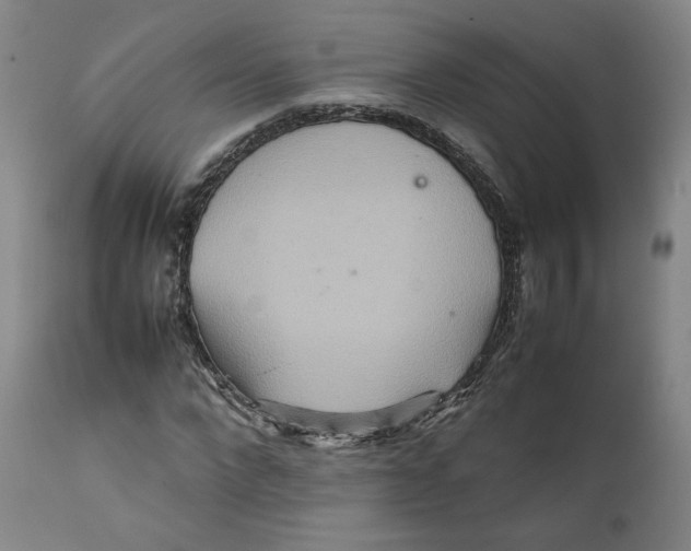 X0000111230872200907231502