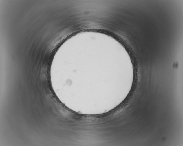 X0000111230873200907231502