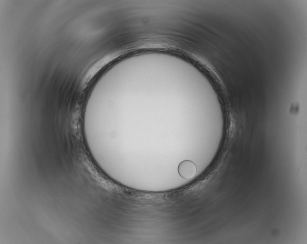 X0000111230874200907231502