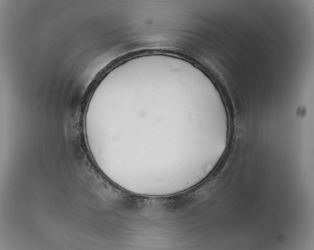 X0000111230875200907231502