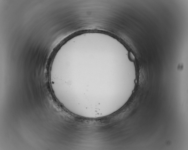 X0000111230876200907231502