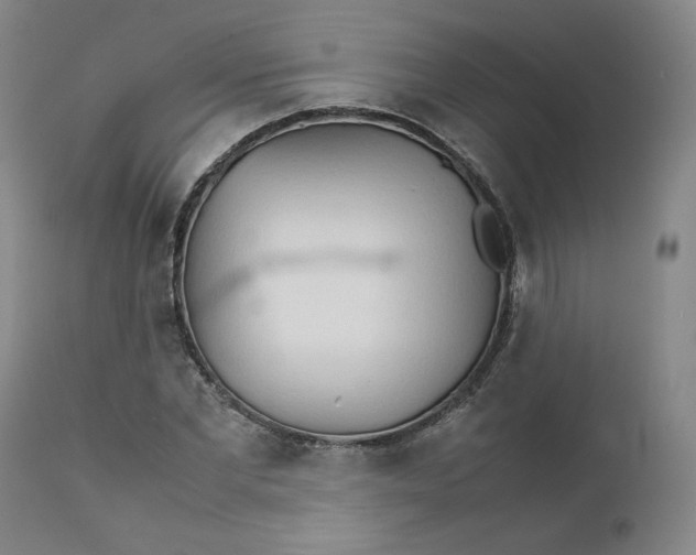 X0000111230877200907231502