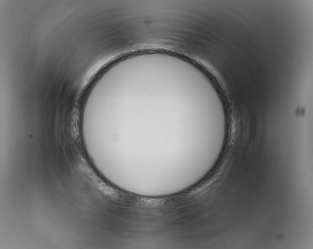 X0000111230878200907231502