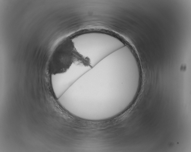 X0000111230879200907231502