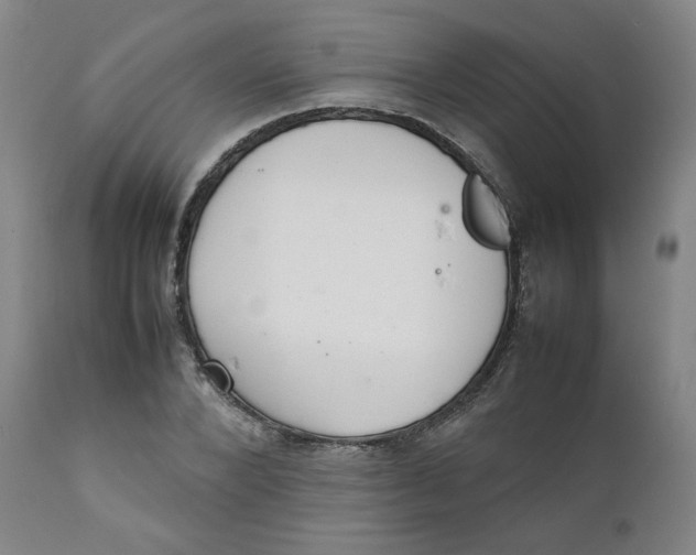 X0000111230880200907231502