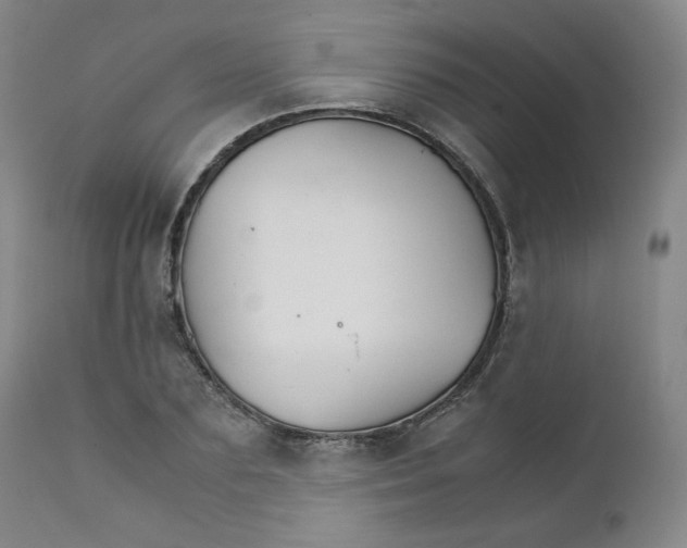 X0000111230883200907231501