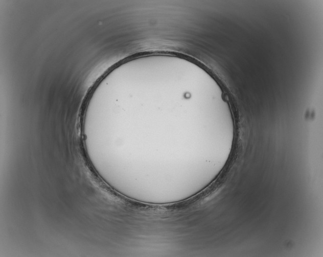 X0000111230885200907231501