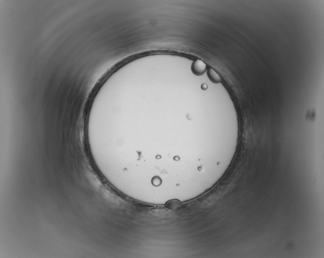 X0000111230888200907231501