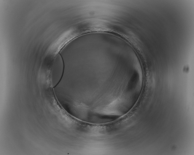 X0000111230889200907231501