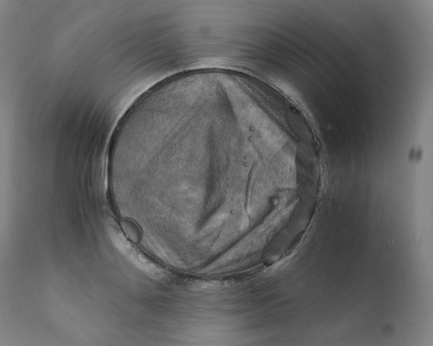 X0000111230892200907231501