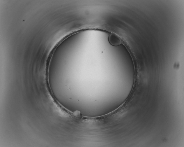 X0000111230894200907231501