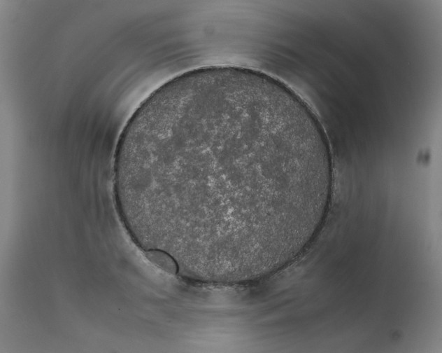 X0000111230895200907231501