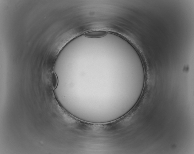 X0000111230897200907231501