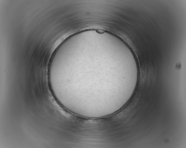 X0000111230898200907231501