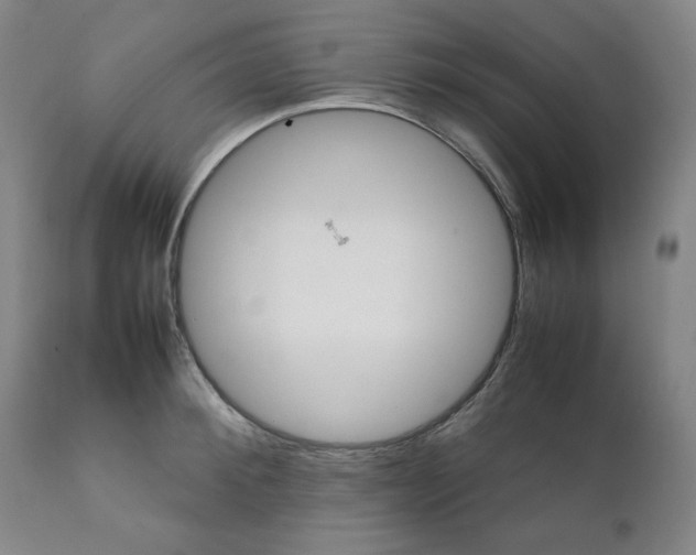 X0000111230900200907231501