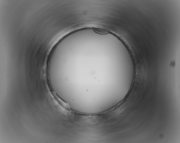 X0000111230902200907231501