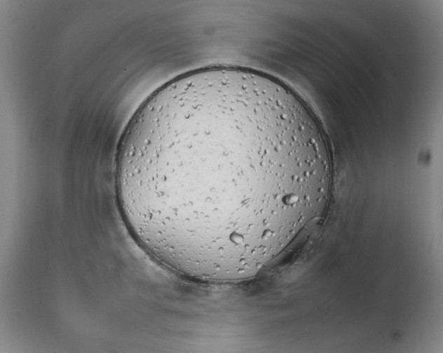 X0000111230903200907231501