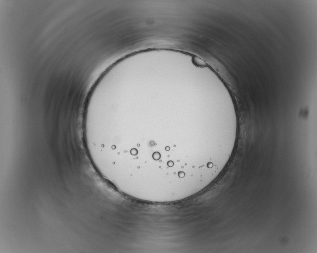 X0000111230904200907231501