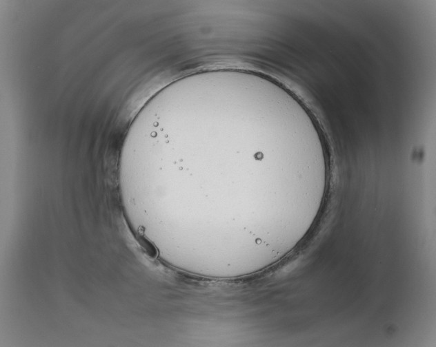 X0000111230905200907231501