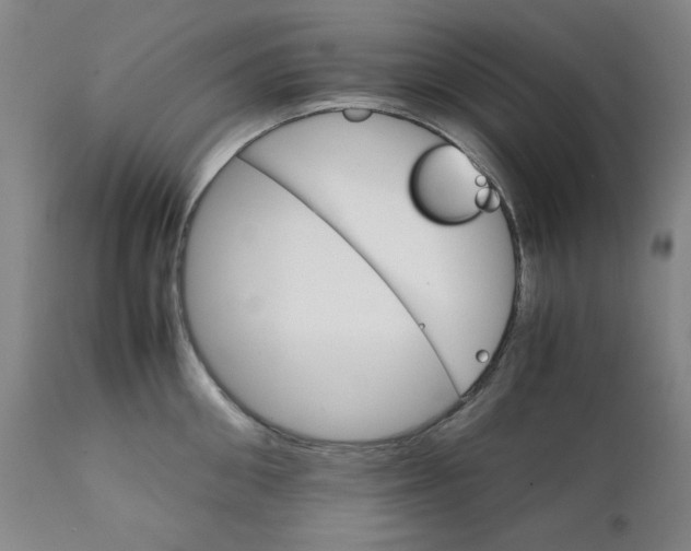 X0000111230906200907231501