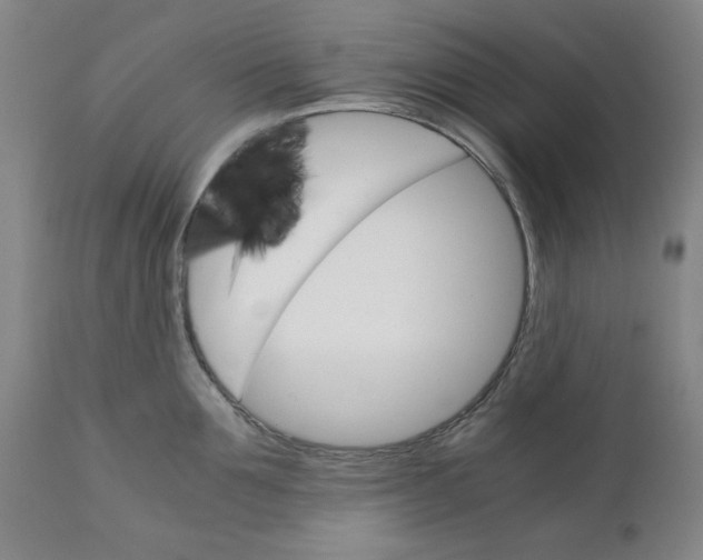 X0000111230907200907231501