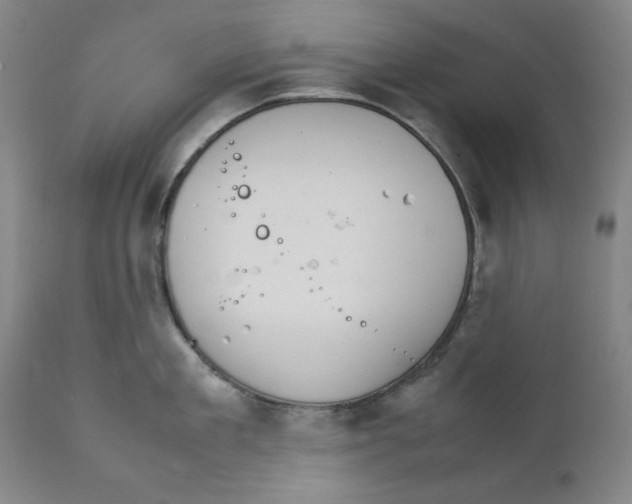 X0000111230909200907231501