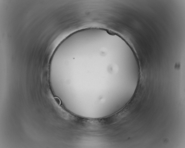 X0000111230911200907231501