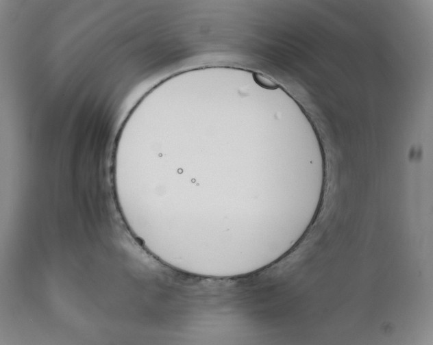 X0000111230912200907231501